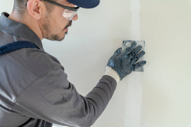 Best Residential Mold Inspection & Testing  in Brewster, NY