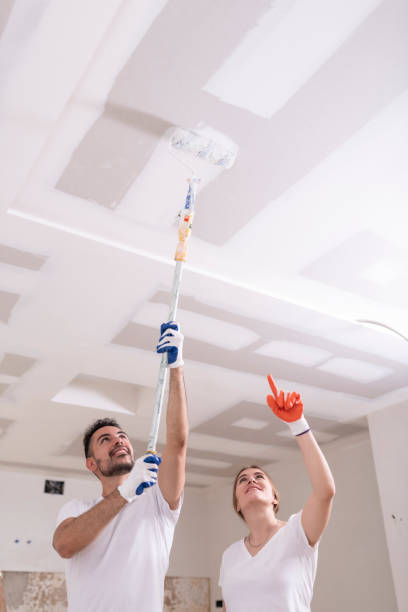 Best Air Quality Testing for Mold Spores  in Brewster, NY