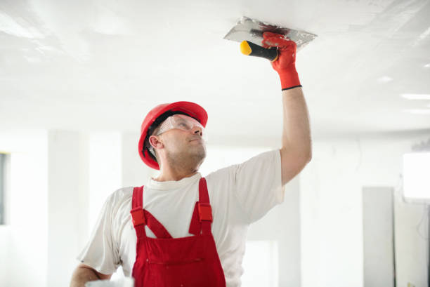 Best Mold Damage Restoration  in Brewster, NY