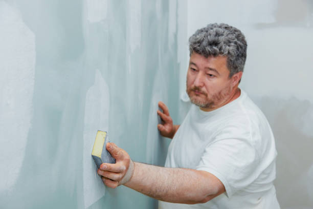 Best Real Estate Mold Inspection  in Brewster, NY