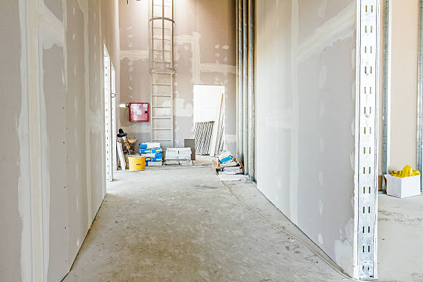 Best Mold-Related Health Consultation  in Brewster, NY